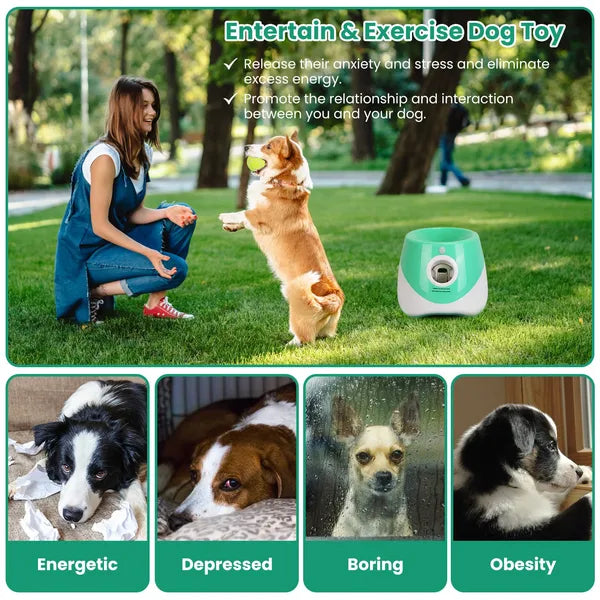 Automatic fetch machine powered by AC adapter or batteries indoor outdoor use