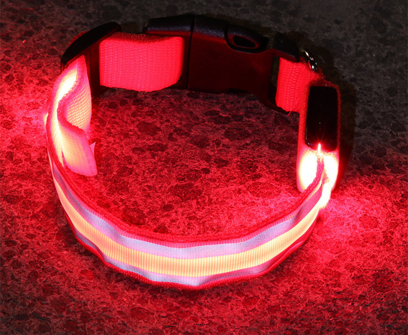 TailComfort LED Dog Collar — Glow in the Dark Safety Collar for Night Walks