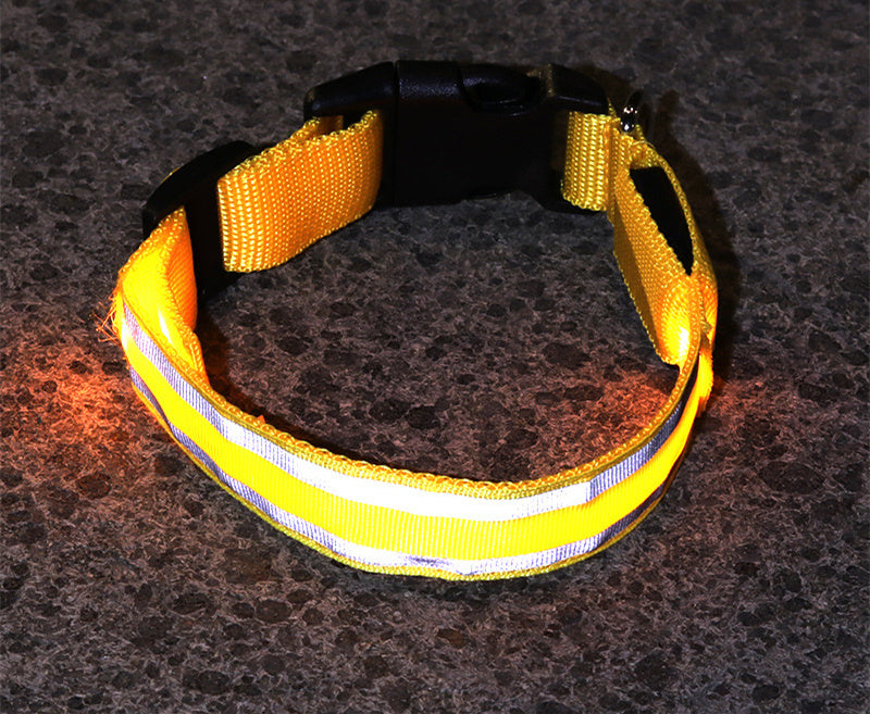 TailComfort LED Dog Collar — Glow in the Dark Safety Collar for Night Walks
