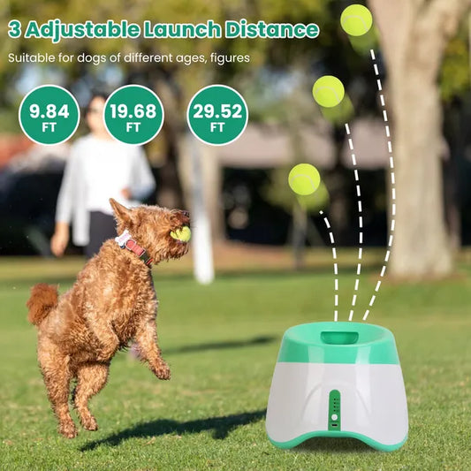 Dog using automatic ball launcher independently in backyard