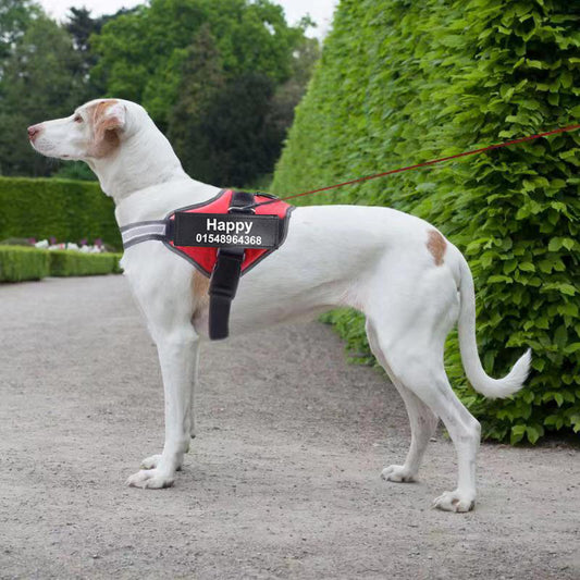 No-Pull Dog Harness with Custom Name Patch — Reflective & Breathable