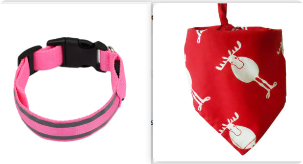 TailComfort LED Dog Collar — Glow in the Dark Safety Collar for Night Walks