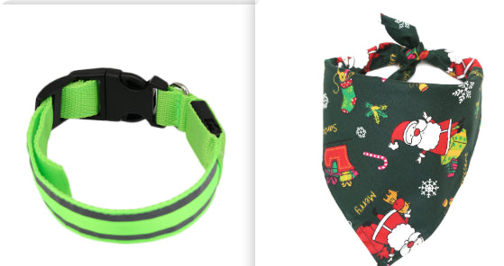 TailComfort LED Dog Collar — Glow in the Dark Safety Collar for Night Walks