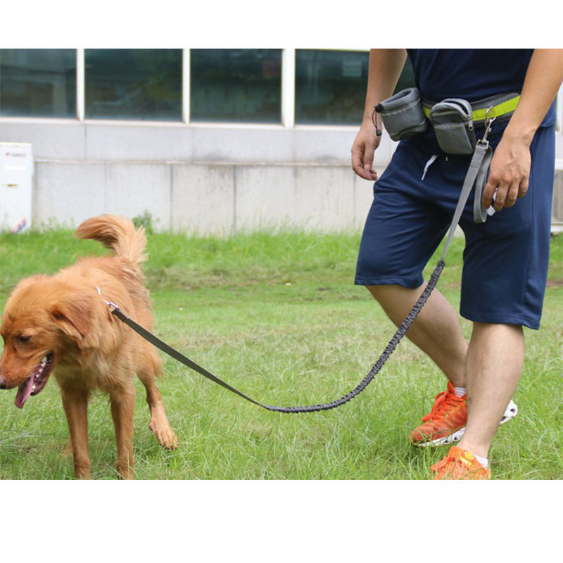 TailComfort Hands-Free Dog Leash — Bungee Running Waist Belt with Reflective Strip