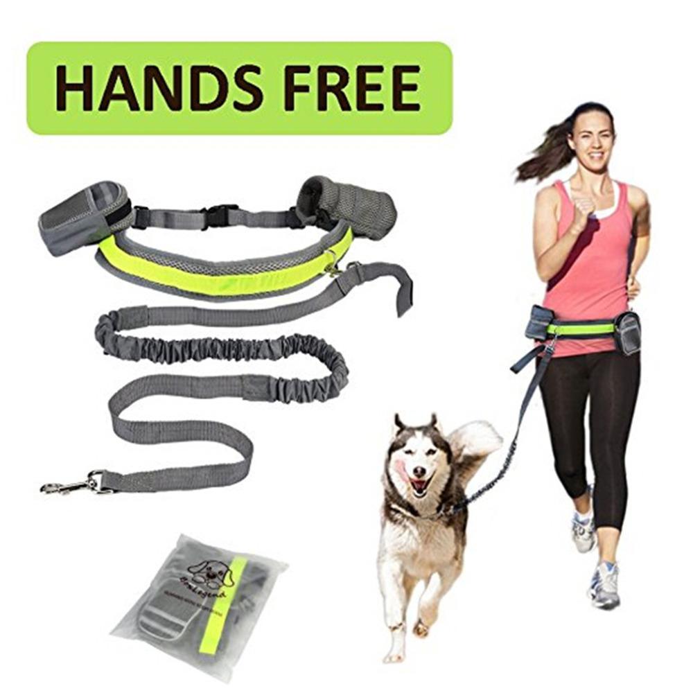 TailComfort Hands-Free Dog Leash — Bungee Running Waist Belt with Reflective Strip