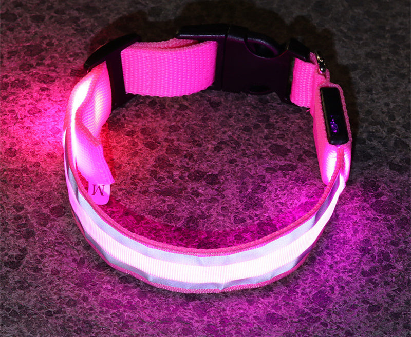TailComfort LED Dog Collar — Glow in the Dark Safety Collar for Night Walks