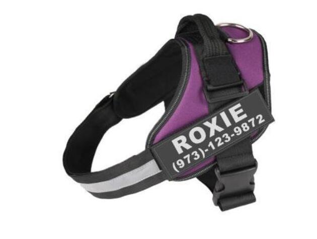 No-Pull Dog Harness with Custom Name Patch — Reflective & Breathable