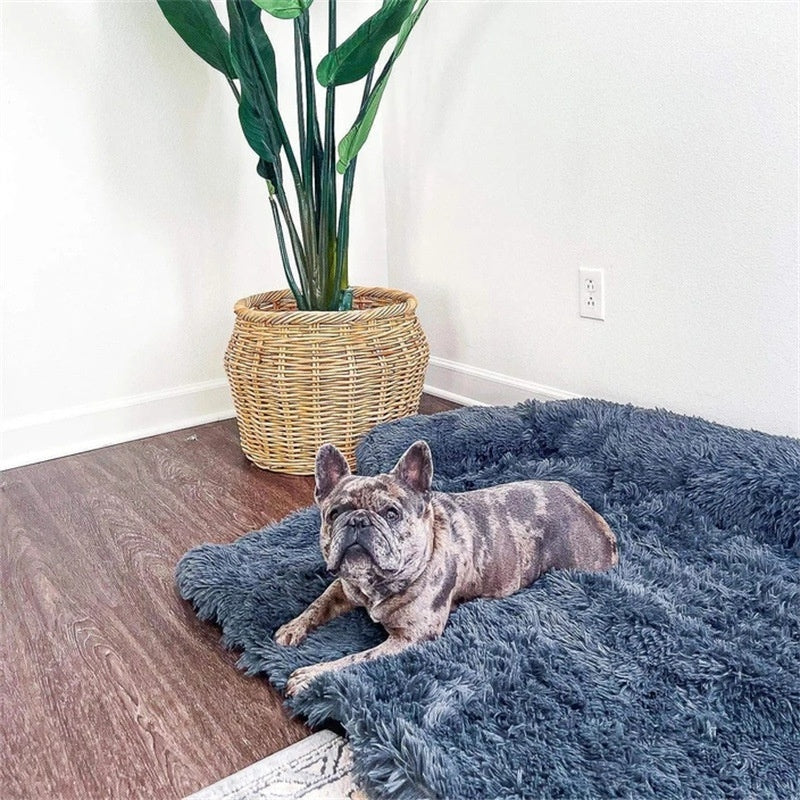 Fluffy Calming Dog Bed – Ultra Soft Plush Pet Sofa for Small & Medium Dogs