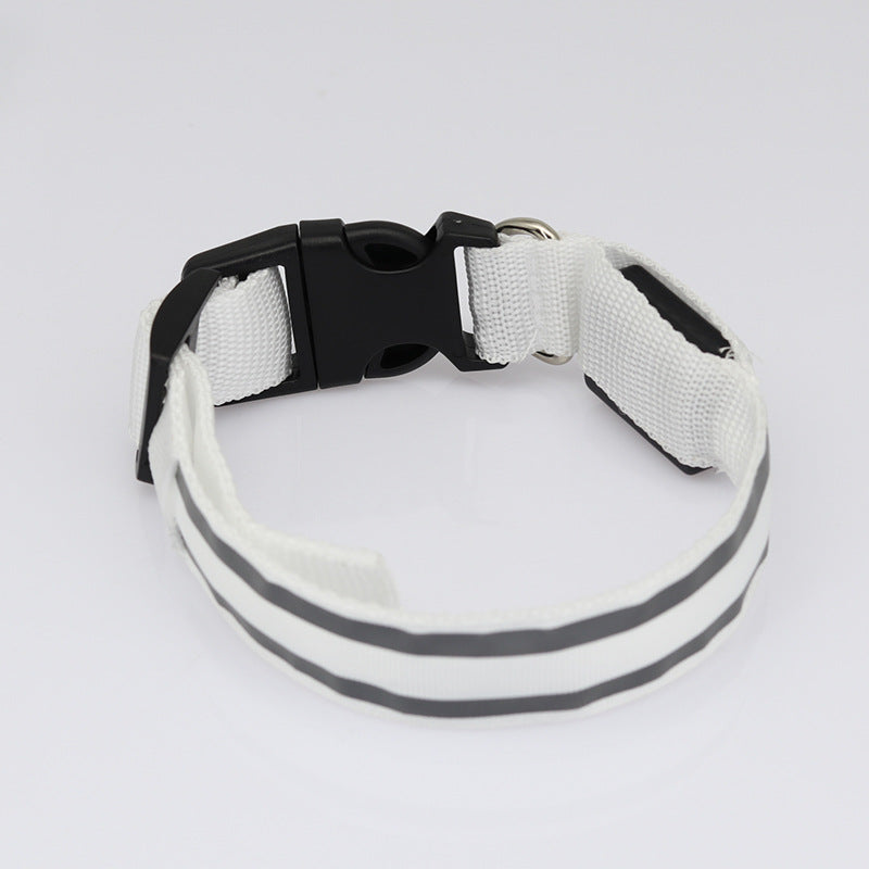 TailComfort LED Dog Collar — Glow in the Dark Safety Collar for Night Walks