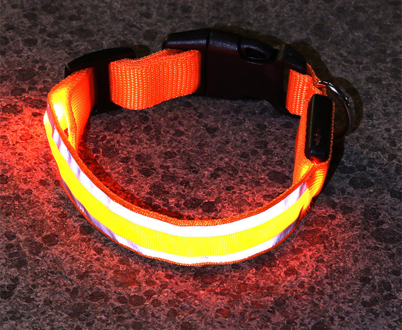 TailComfort LED Dog Collar — Glow in the Dark Safety Collar for Night Walks