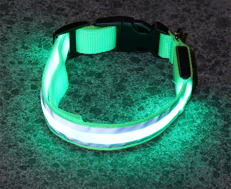 TailComfort LED Dog Collar — Glow in the Dark Safety Collar for Night Walks
