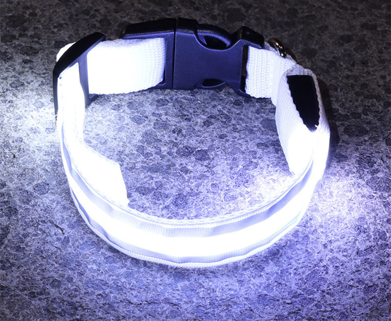 TailComfort LED Dog Collar — Glow in the Dark Safety Collar for Night Walks