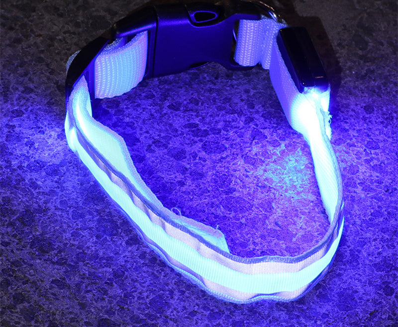 TailComfort LED Dog Collar — Glow in the Dark Safety Collar for Night Walks
