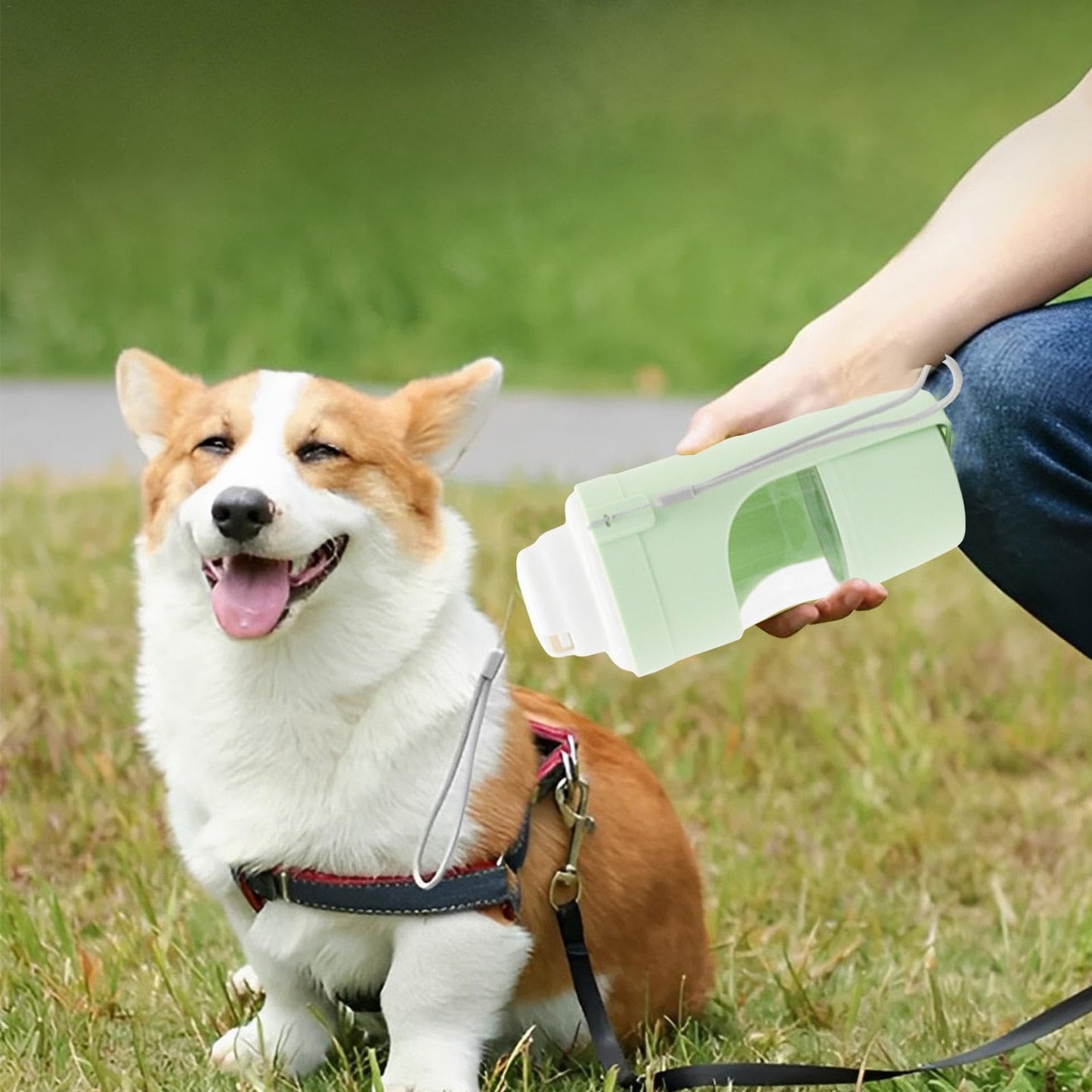 2-in-1 Portable Dog Water Bottle