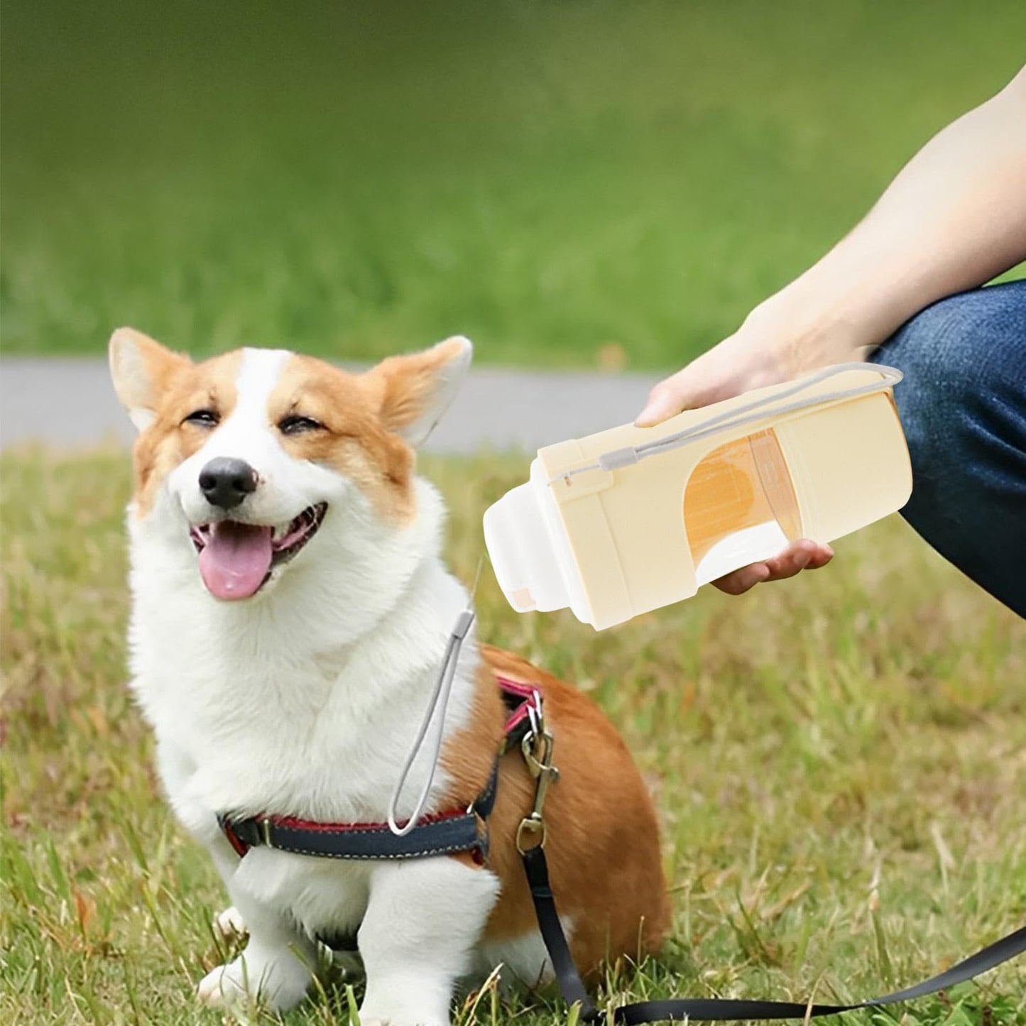 2-in-1 Portable Dog Water Bottle