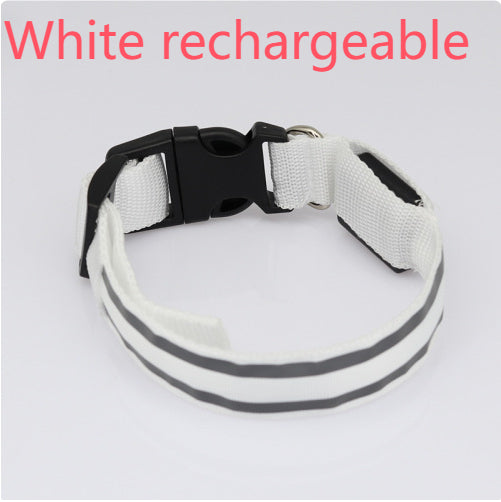 TailComfort LED Dog Collar — Glow in the Dark Safety Collar for Night Walks