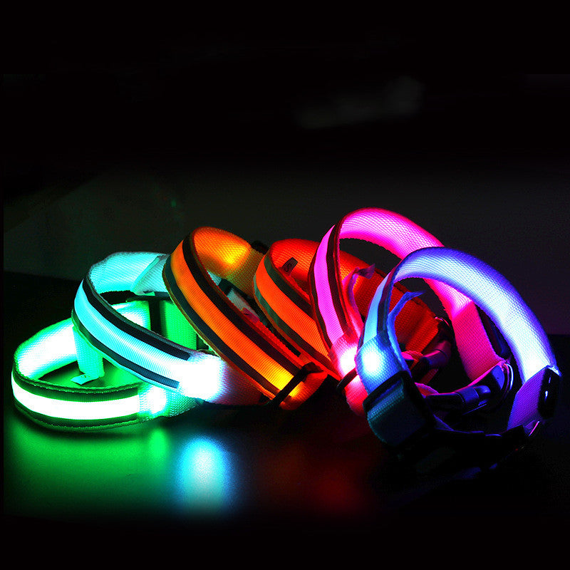 TailComfort LED Dog Collar — Glow in the Dark Safety Collar for Night Walks