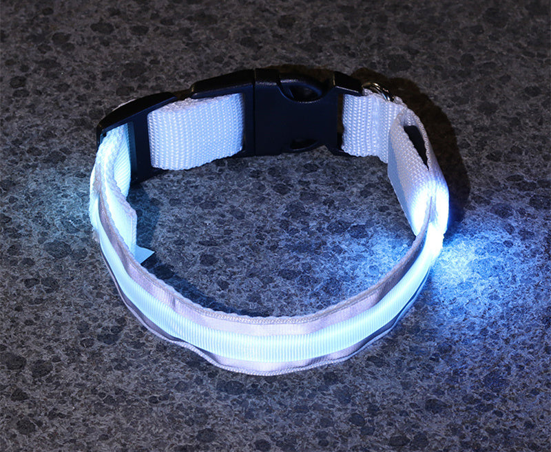 TailComfort LED Dog Collar — Glow in the Dark Safety Collar for Night Walks