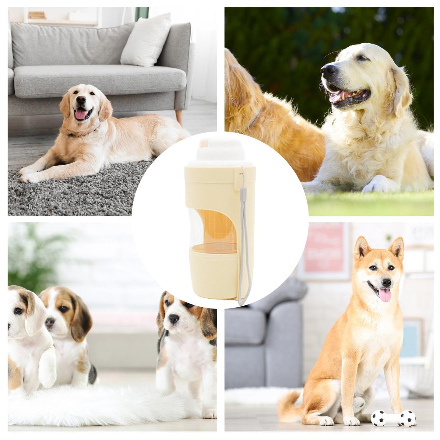 2-in-1 Portable Dog Water Bottle