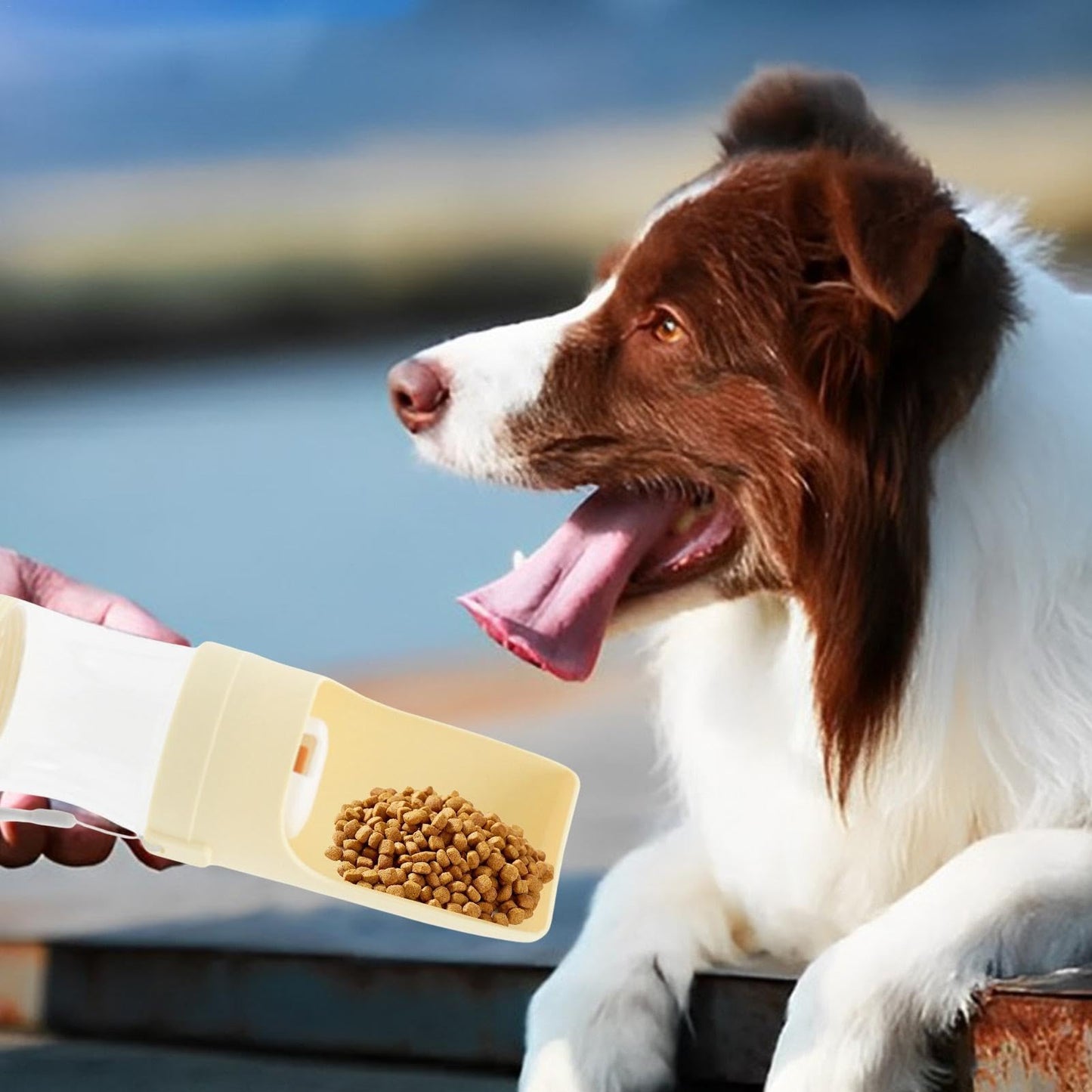 2-in-1 Portable Dog Water Bottle